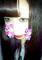 karina img-qrcode
