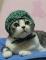 はな img-qrcode