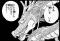 あい img-qrcode