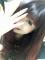 まな img-qrcode