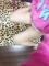 くみっきー img-qrcode