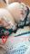 あやこ img-qrcode